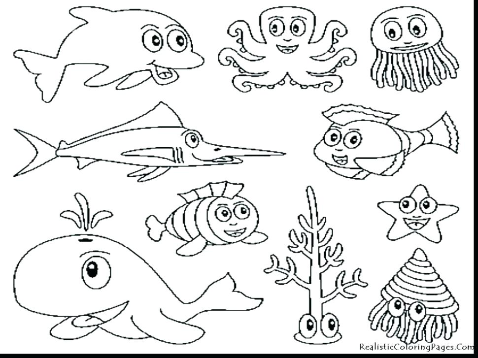 970x727 Realistic Ocean Animals Coloring Pages Sea Creatures Animal