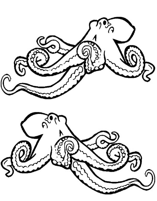 600x769 Realistic Octopus Sea Animals Fee Coloring Page