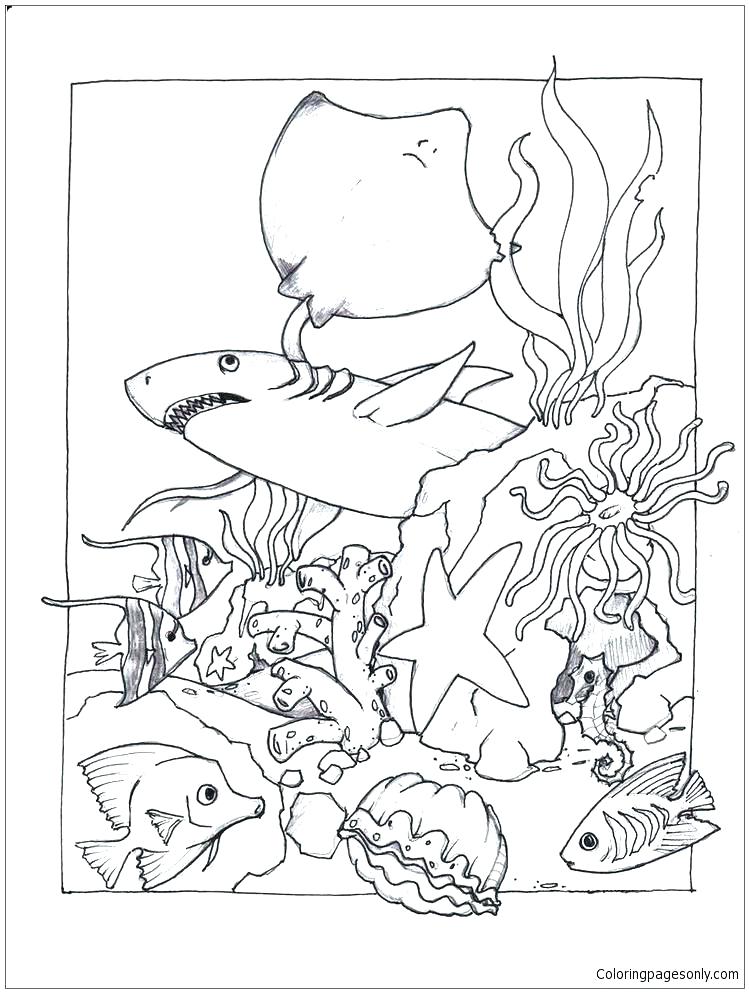 749x993 Sea Life Coloring Pages Sea Life Coloring Page Animals Worksheets
