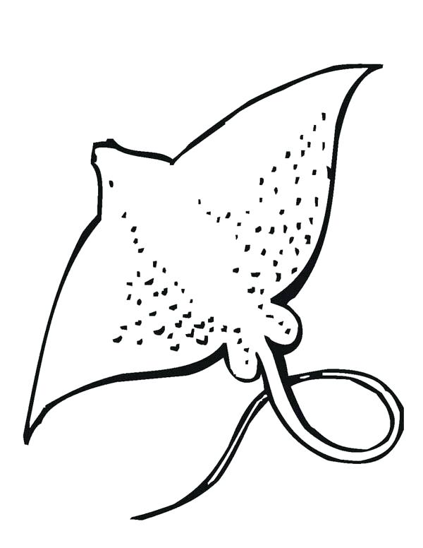 600x776 Sea Life Coloring Pages