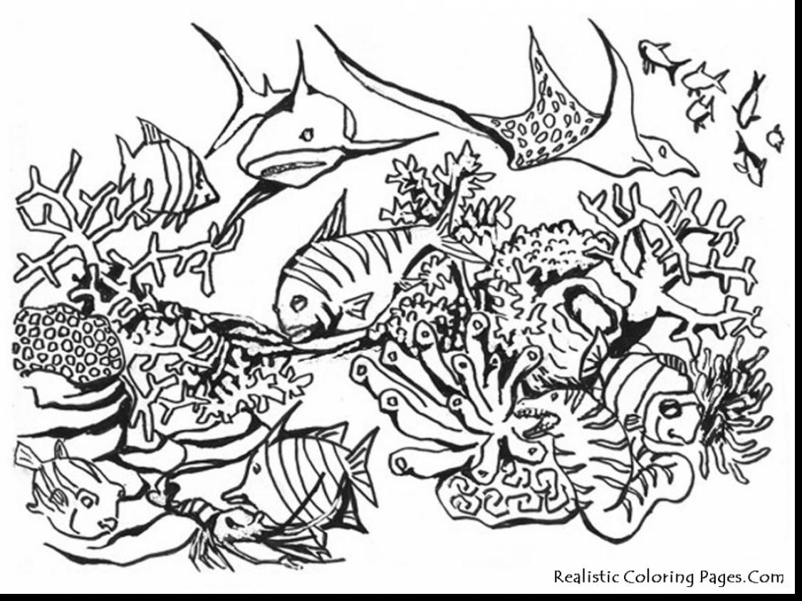 1126x844 Incredible Realistic Ocean Coloring Pages With Sea Animal For Life