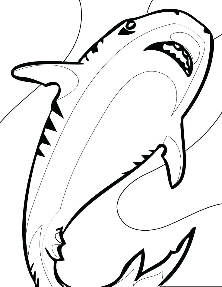 736x952 Shark Color Pages Shark Color Pages Coloring Page Shark Hammerhead
