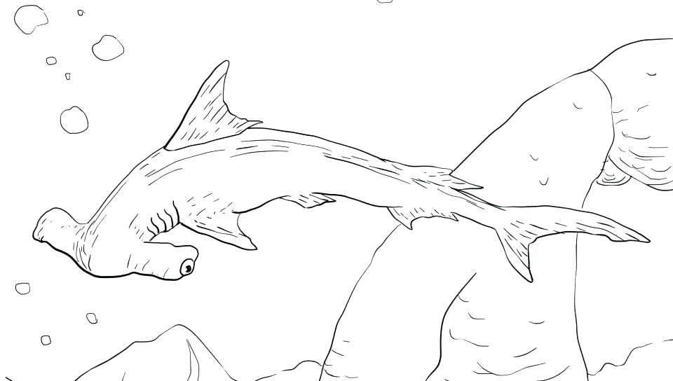 960x544 Shark Coloring Pages Free Sharks Coloring Pages Go Digital With Us