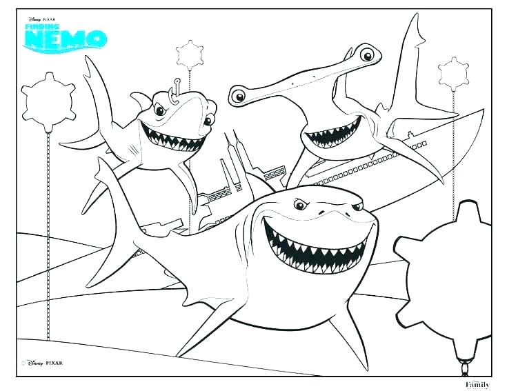 735x567 Tiger Shark Coloring Pages Printable Whale Pri