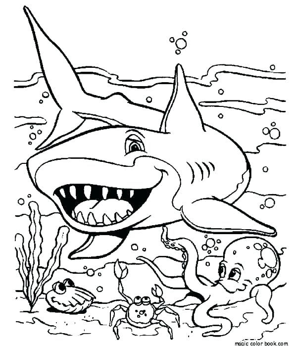 600x699 Coloring Pages Sharks