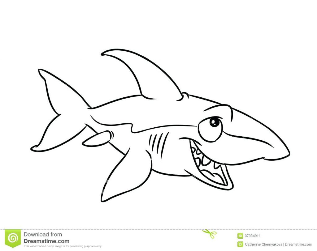 1024x812 Coloring Pages Shark Coloring Page Fish Illustration Pages Tale