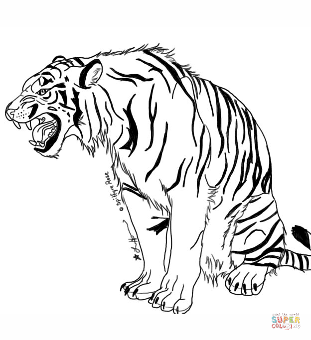 624x683 Tiger Coloring Page Tigers Coloring Pages Free Coloring Pages