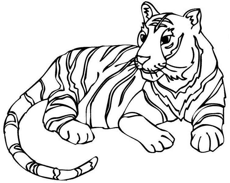 755x600 Tiger Colouring Sheets Realistic Tigers Coloring Pages Bebo Pandco