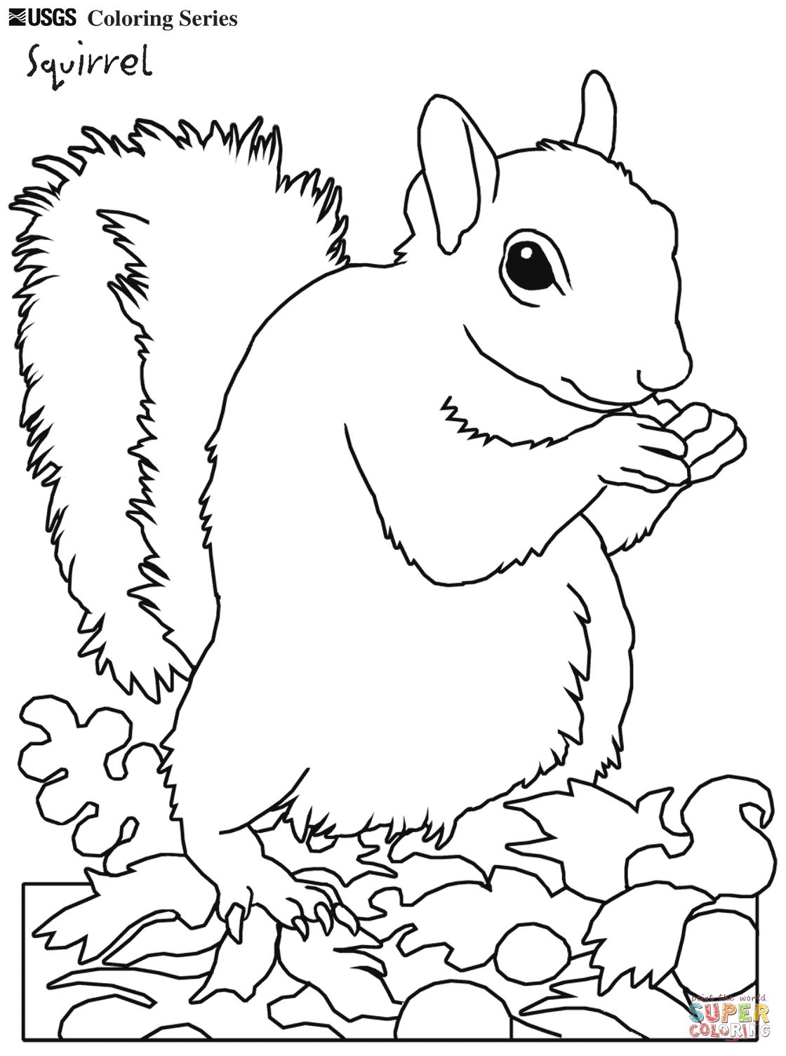 1120x1505 Eastern Grey Squirrel Tree Coloring Pages And Realistic