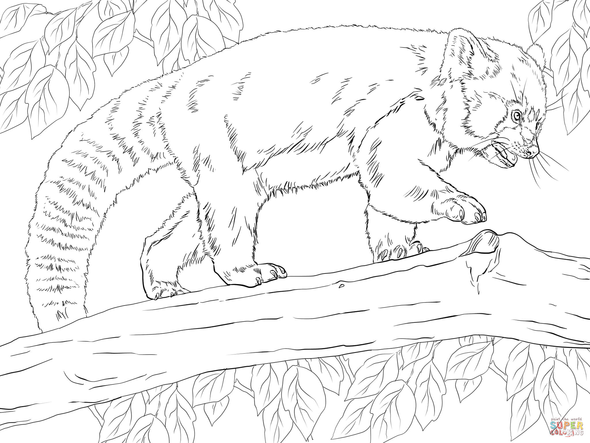 2048x1536 Red Panda Coloring Page Red Panda On Tree Coloring Page