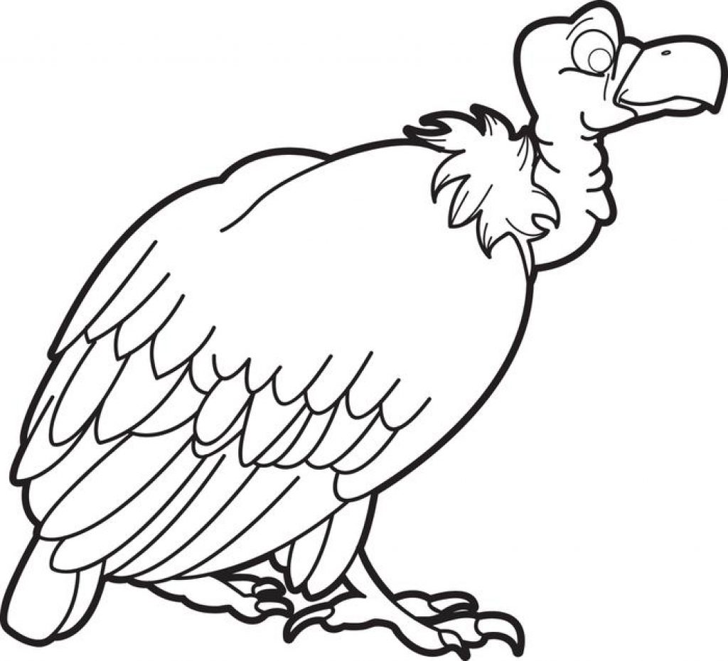 1024x930 Vultures Coloring Pages Free Vulture Page To Print For Kids