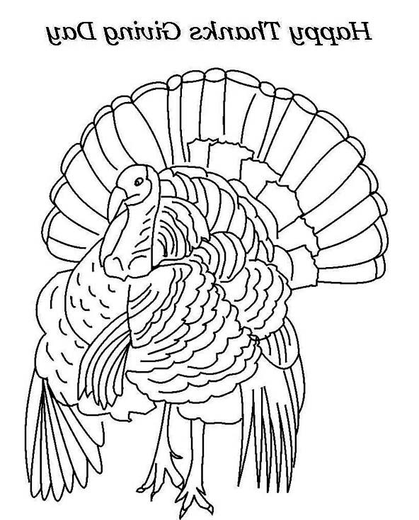 592x734 Moorhen Animal Coloring Pages Realistic Thanksgiving Day Turkey