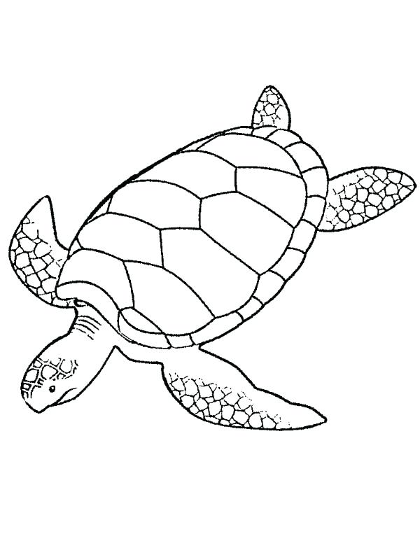 600x763 Sea Turtles Coloring Pages Giant Green Sea Turtle Coloring Page