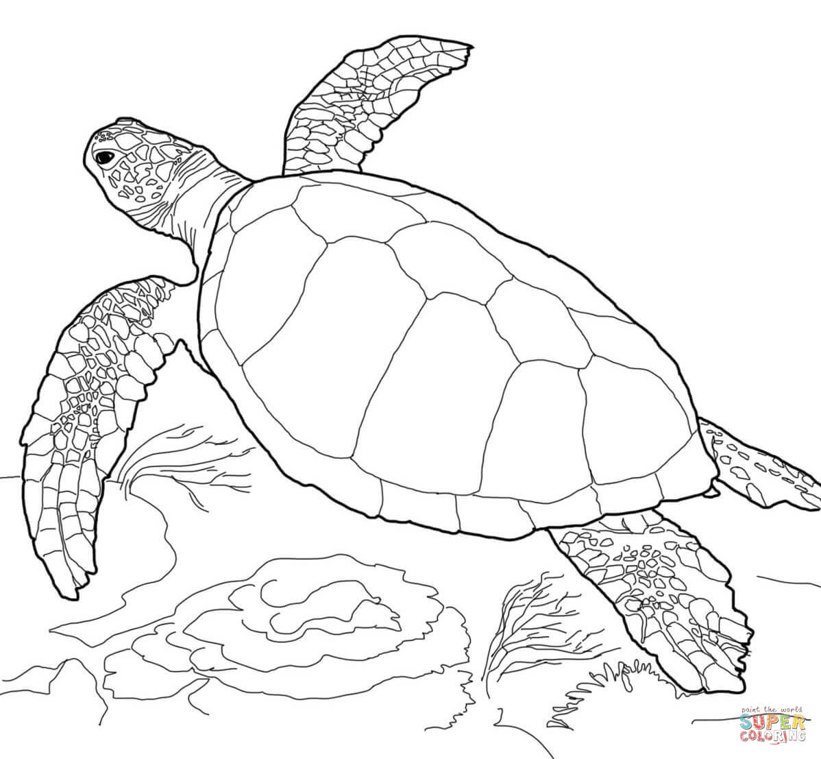 1198x1107 Turtles Coloring Pages Free For Alluring Sea Turtle Page Realistic