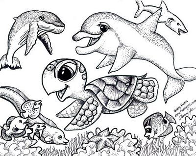 400x318 Images Of Coloring Sheets Of Realistic Turtles