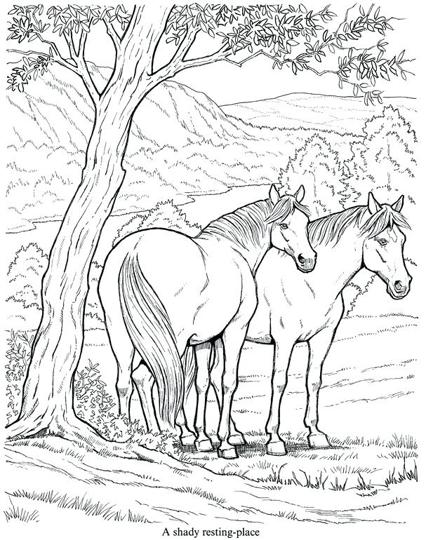 607x770 Horse Coloring Sheet Realistic Wild Pages Printable