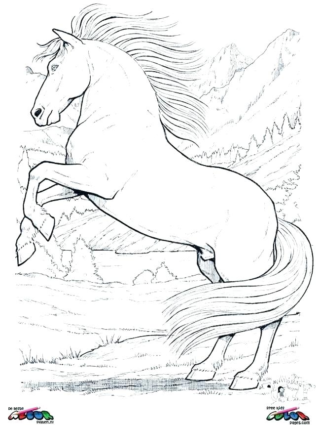 645x860 Realistic Horse Coloring Pages Horses Coloring Page Mustang Horse