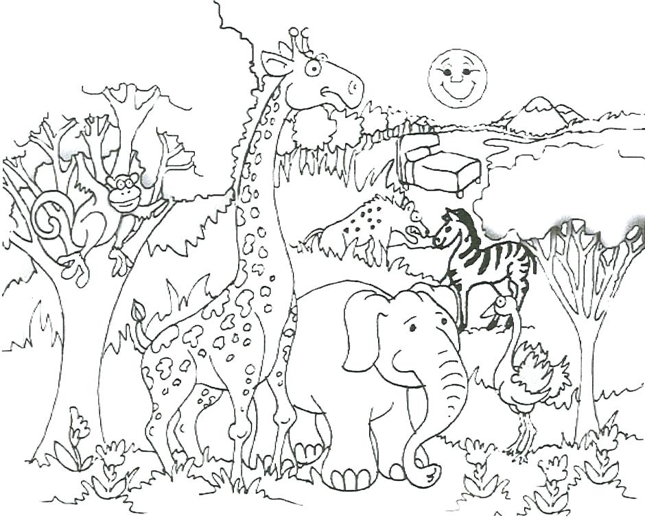 940x755 Cool Animal Coloring Pages Safari Coloring Pages To Download