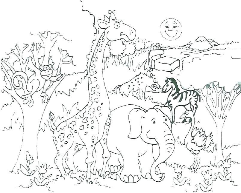 805x647 Wild Animal Coloring Pages Animal Coloring Pages Wild Animal