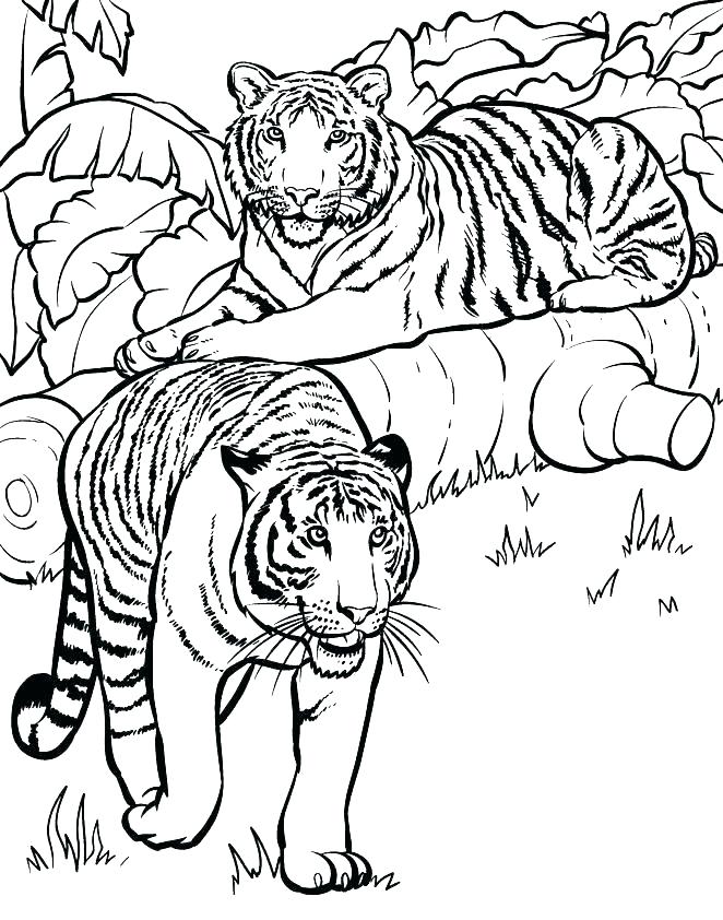 662x842 Wild Animals Coloring Pages Animal Coloring Pages Online Perfect