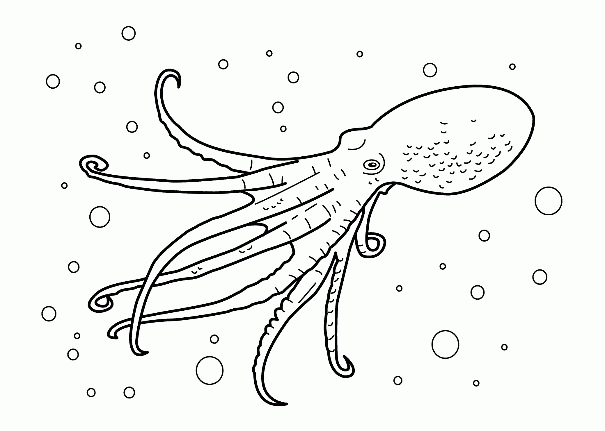 2079x1483 New Water Animal Coloring Pages Gallery Printable Coloring Sheet