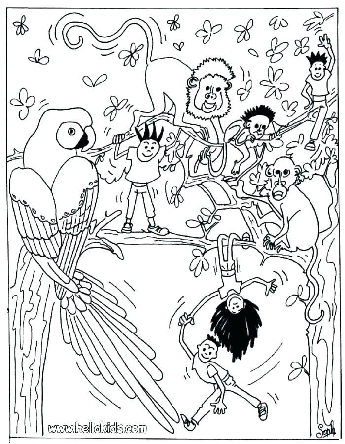 700x900 Realistic Animal Coloring Pages Ocean Animals Coloring Pages Free