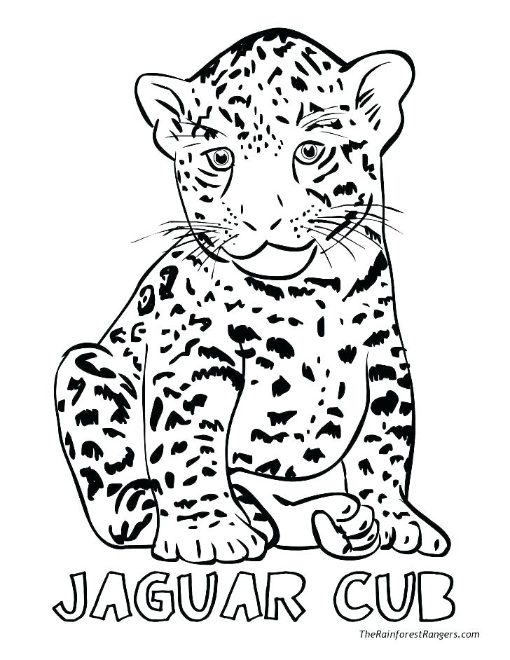 728x942 Realistic Animal Coloring Pages Realistic Animal Coloring Pages