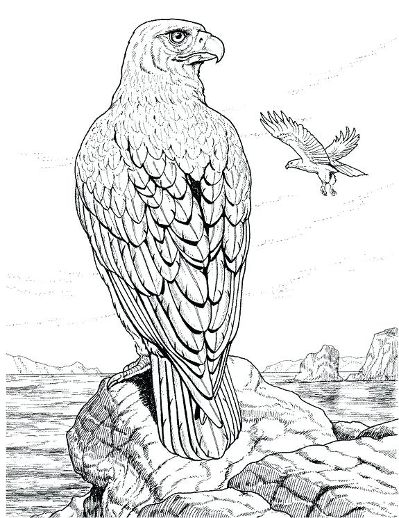 575x745 Wildlife Coloring Pages Detailed Coloring Pages For Adults