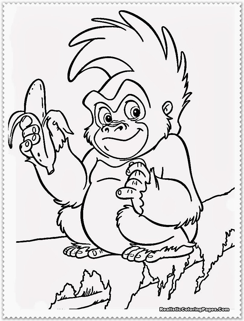 810x1066 Baby Forest Animals Coloring Pages