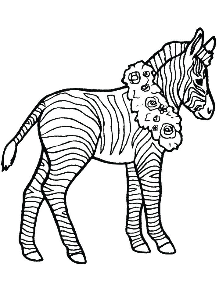 718x957 Zebra Coloring Pages Zebra Coloring Pages For Kids To Print