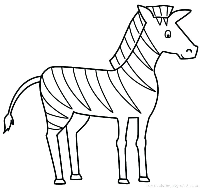 800x752 Zebra Coloring Sheet Zebra Coloring Pages Zebra Coloring Picture