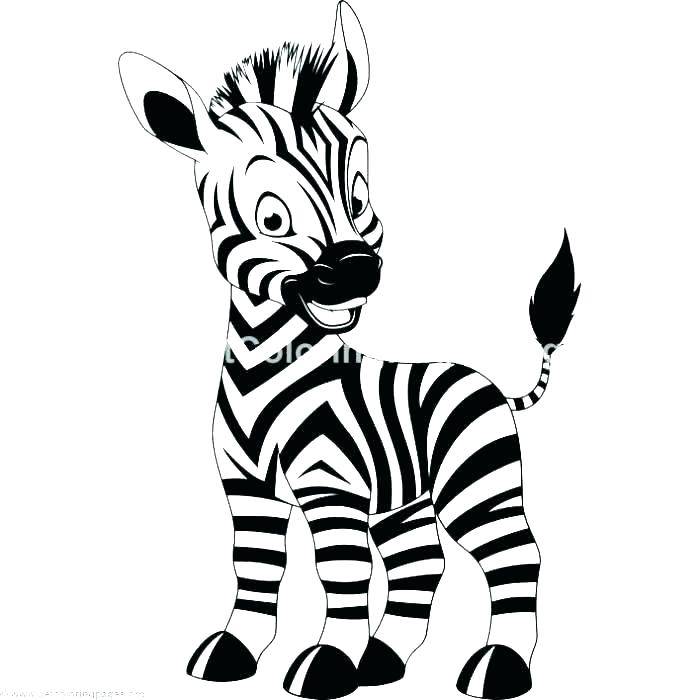 700x700 Zebra Coloring Pages
