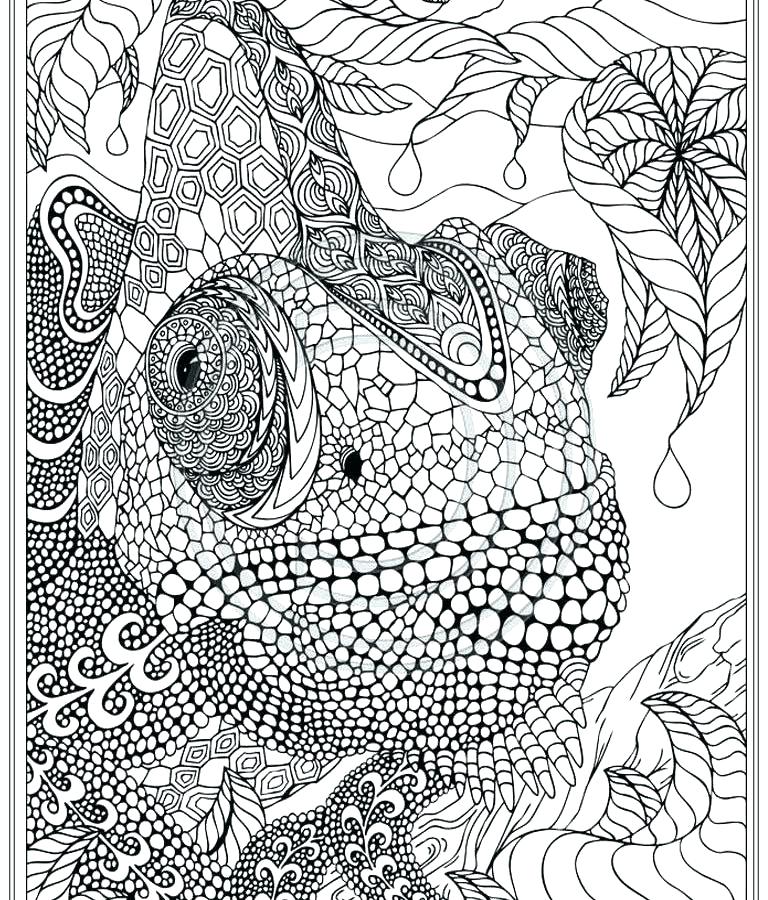 768x900 Intricate Coloring Page Free Intricate Coloring Pages Really