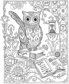 236x286 Livro Jardim Secreto Dover Publications, Owl And Coloring Books