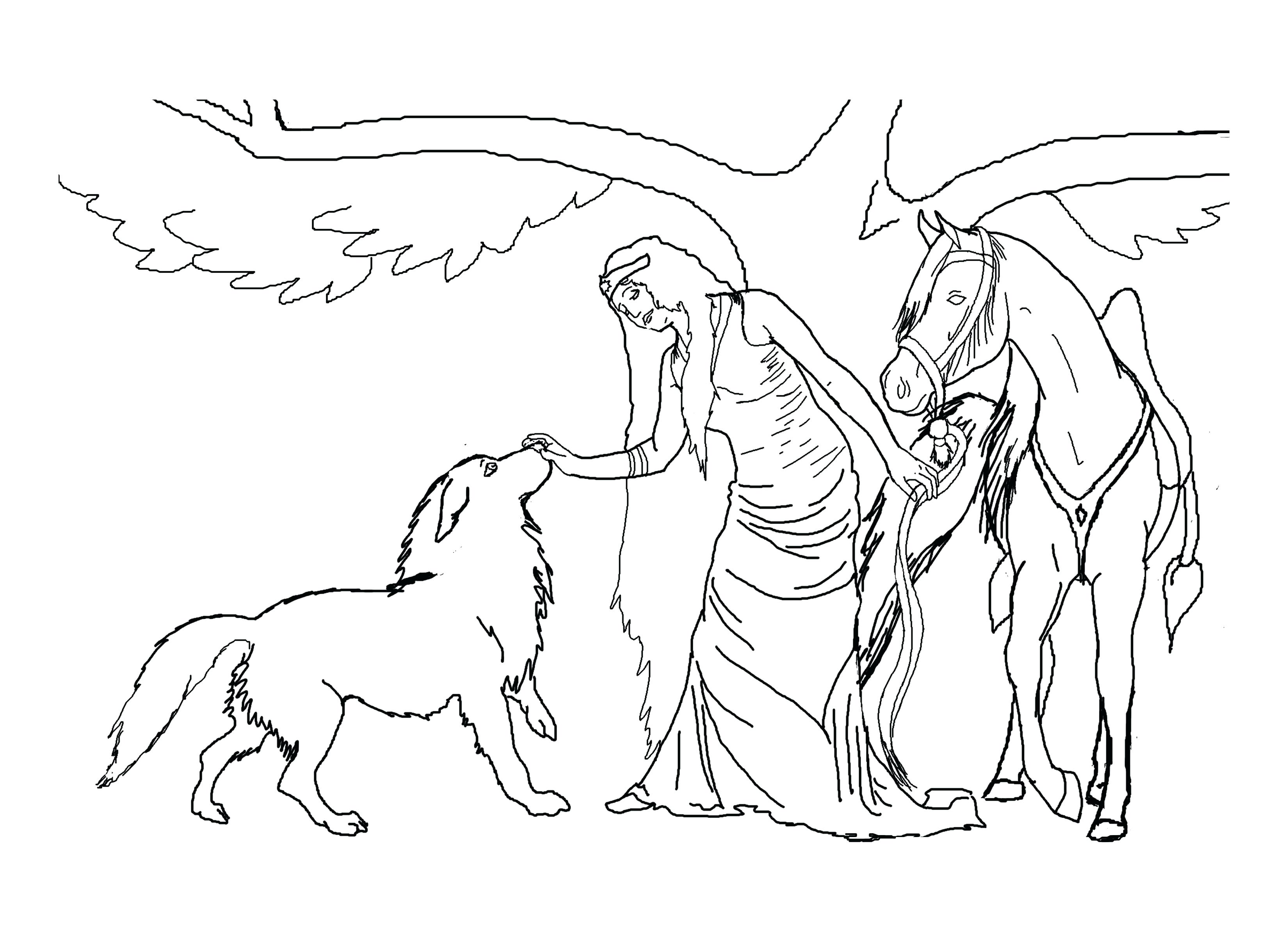 3300x2400 Horse Rearing Up Coloring Pages Astounding With Horses In Page