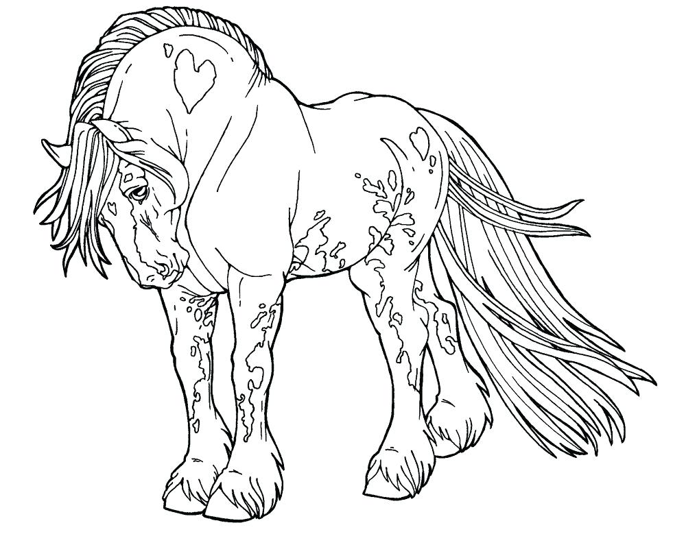 981x814 How To Draw Horse Coloring Pages Animals For Kids Art Colors