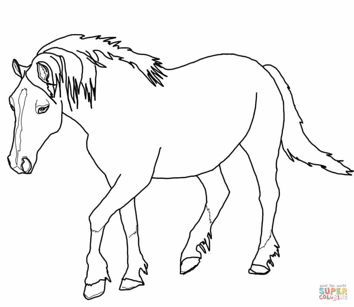 1200x1039 Palomino Horse Coloring Pages Download And Print For Free