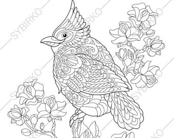 340x270 Bird Coloring Book Etsy