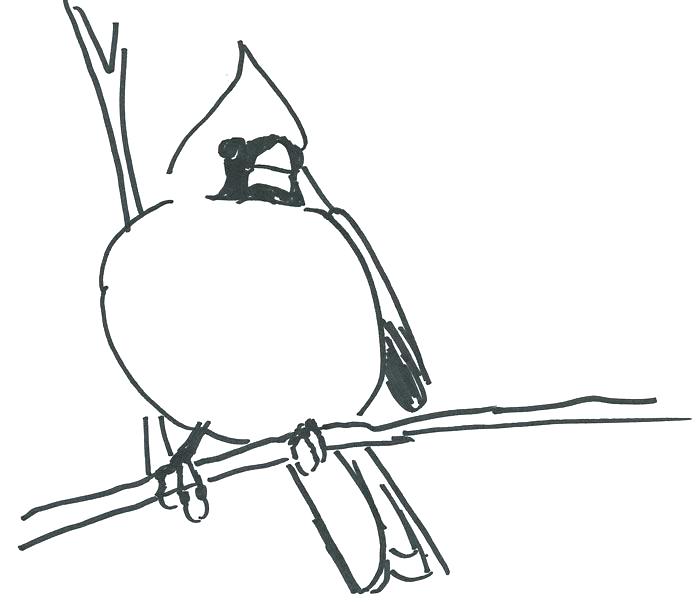 700x602 Cardinal Coloring Pages St Cardinal Coloring Pages Best Photos