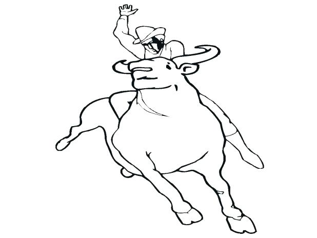 618x464 Bull Coloring Pages Printable Realistic Riding Rider Bulldog Bull