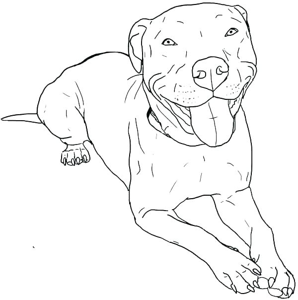 600x604 Bulldog Puppy Coloring Pages Bull Coloring Pages Printable