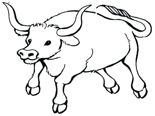 618x464 Pit Bull Coloring Pages Coloring Pages Coloring Pages Bull