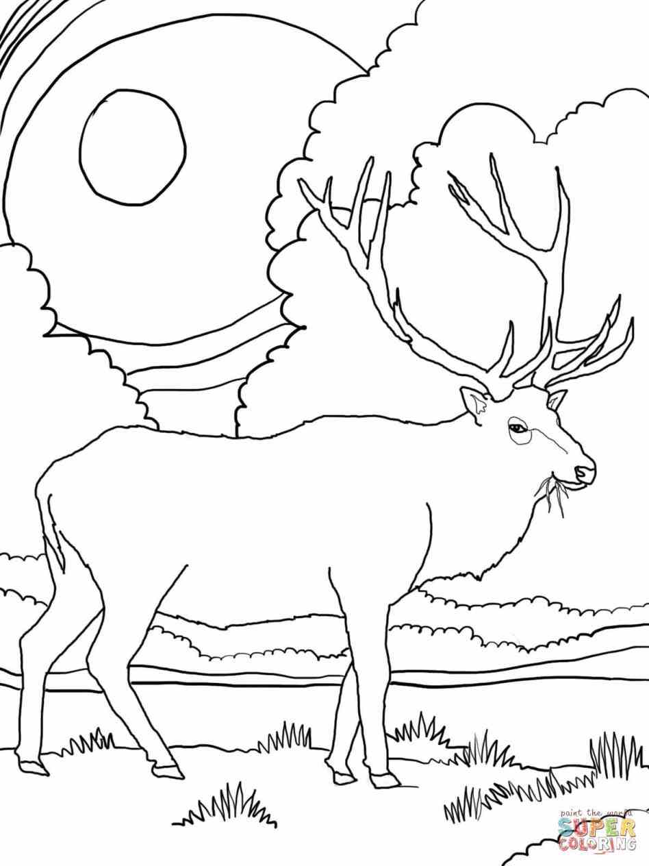 948x1264 Red Bull Coloring Pages Web Coloring Pages