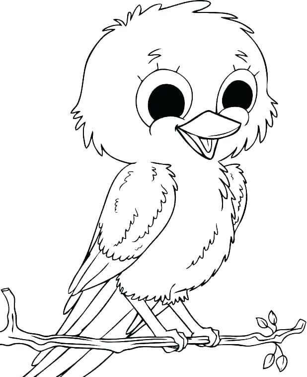 618x757 Cardinal Bird Coloring Page