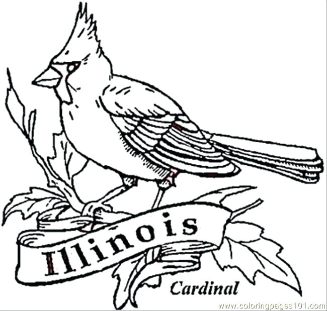 650x619 Cardinal Bird Of Coloring Page Free Coloring Pages Free Coloring