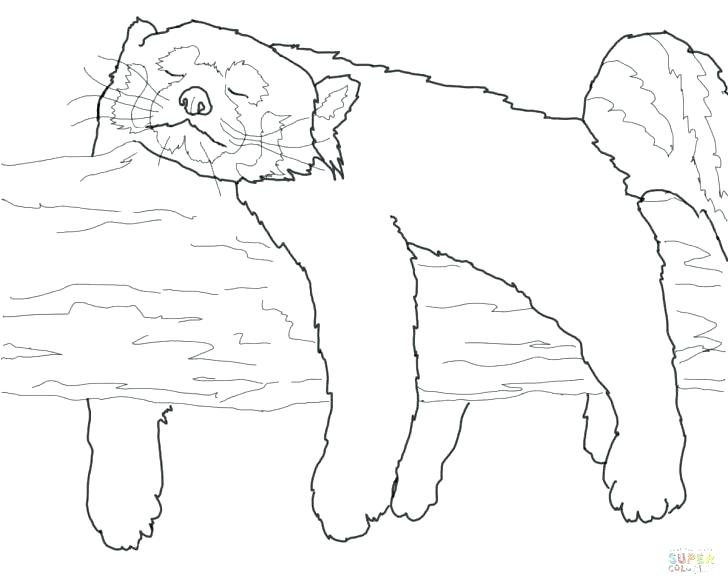 728x587 Extraordinary Coloring Pages Of Crayons Extraordinary Winter Color