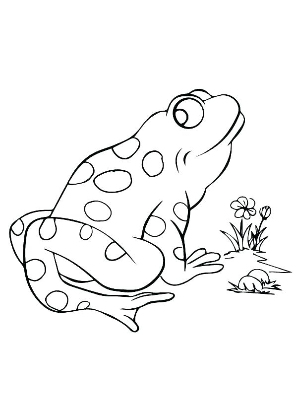 595x842 Frogs Coloring Pages Coloring Page Impressive Ideas Red Eyed Tree