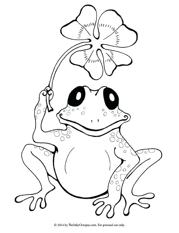 588x762 Printable Coloring Pictures Of Frogs Printable Coloring Red Eyed