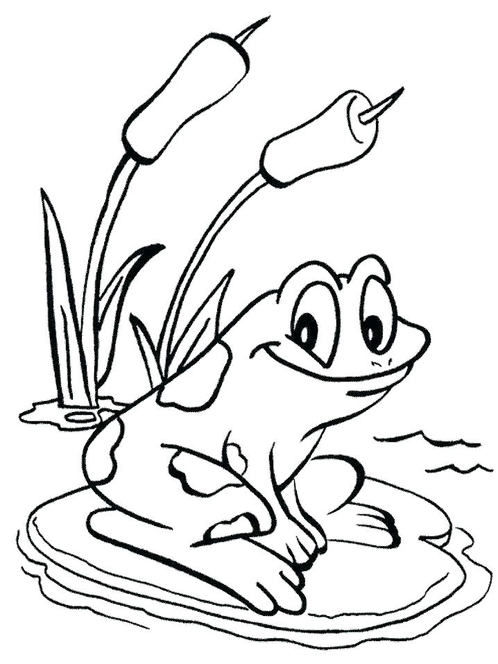 718x957 Red Eyed Tree Frog Coloring Page Red Eyed Tree Frog Coloring Page