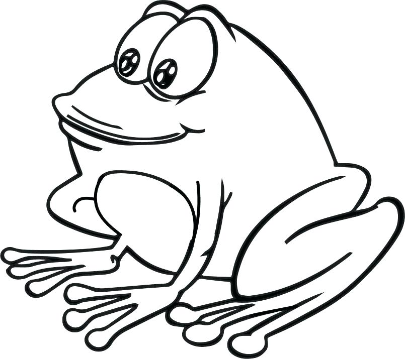 Red Eye Tree Frog Coloring Pages at GetDrawings | Free download